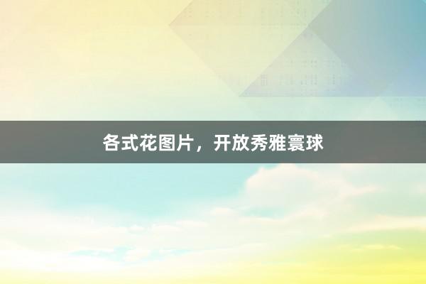 各式花图片，开放秀雅寰球
