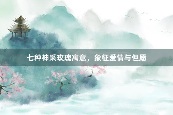 七种神采玫瑰寓意，象征爱情与但愿