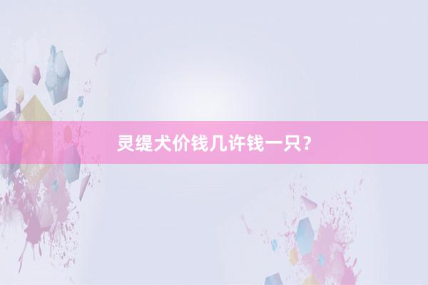 灵缇犬价钱几许钱一只？