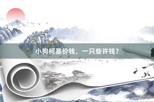小狗柯基价钱，一只些许钱？